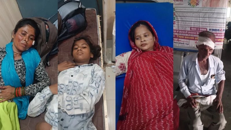 मथुरा में हरियाणा रोडवेज और डग्गामार बस की टक्कर, 15 यात्री घायल