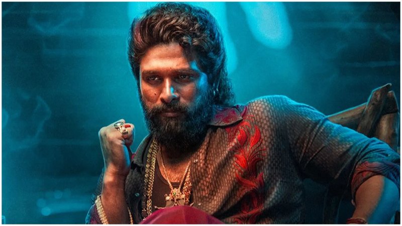 ‘पुष्पा 2’ थिएटर भगदड़ केस: अल्लू अर्जुन वर्चुअली कोर्ट में पेश, सुनवाई 29 जुलाई तक टली