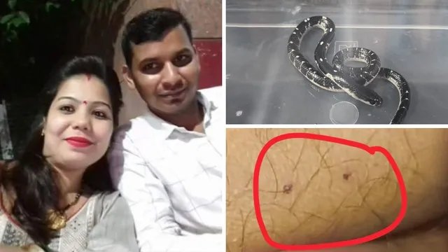 अतुल पंवार हत्याकांड: पत्नी ने प्रेमी और सपेरों के साथ मिलकर करैत सांप से रची हत्या की साजिश