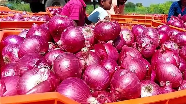 दिल्ली में आज से 35 रुपये किलो मिलेगा प्याज, इन शहरों में भी सस्ती बिक्री
