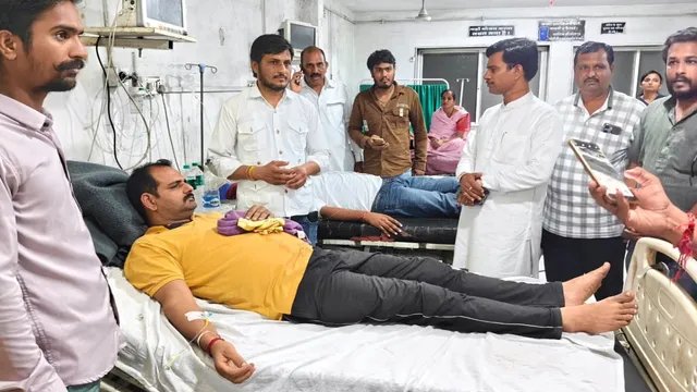 देवास में तिरंगा यात्रा के दौरान मधुमक्खियों का हमला, एक दर्जन से अधिक कार्यकर्ता घायल
