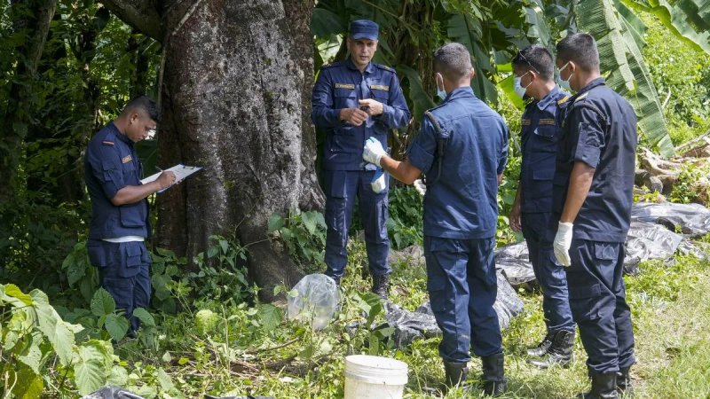 '288 भारतीयों से टूटा संपर्क, तिब्बत सीमा पर भी फंसे 200 नागरिक'; नेपाल बाढ़ पर विदेश मंत्रालय ने दिया अपडेट