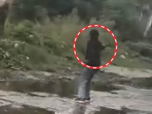 मुजफ्फरनगर में विवाद के बाद ताबड़तोड़ फायरिंग, वायरल वीडियो से मचा हड़कंप; 4 हिरासत में