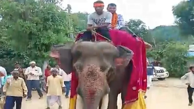 वल्लभनगर में सहायक यंत्री का शाही अंदाज में जन्मदिन, हाथी पर बैठाकर कराया गया कार्यालय प्रवेश