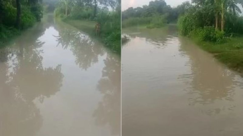 पीलीभीत में बाढ़ का खतरा बढ़ा, शारदा नदी के उफान से हजारा गांव में जलभराव