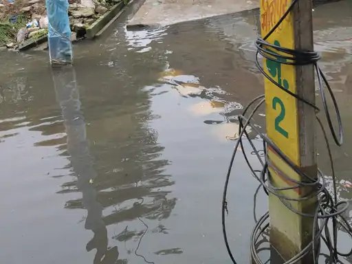 मुजफ्फरनगर: मीरापुर में प्राथमिक विद्यालय के पास जलभराव में फैला करंट, बैल की मौत