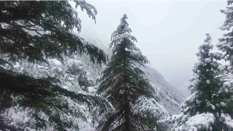 कश्मीर घाटी में सीजन की पहली बर्फबारी, बारिश और ओलावृष्टि से बदला मौसम