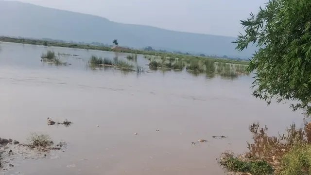 झारखंड में भारी बारिश से 18 जलाशय फुल, 9 से छोड़ा गया पानी; नदियों का जलस्तर बढ़ा