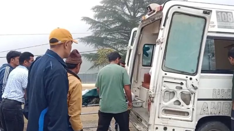 उत्तराखंड: जंगल में घास काटने गई दो महिलाओं पर भालू का हमला, एक की मौत; दूसरी गंभीर घायल
