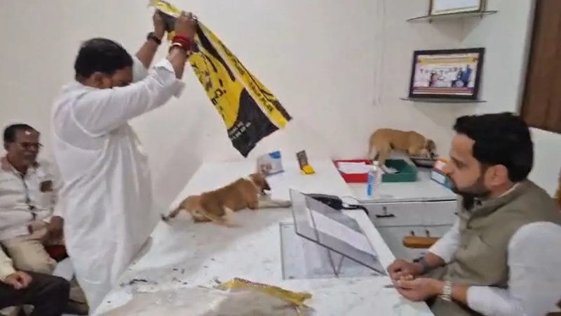 महाराष्ट्र में आवारा कुत्तों से परेशान लोगों ने किया अनोखा प्रदर्शन, नगर पंचायत ऑफिस में छोड़े स्ट्रीट डॉग