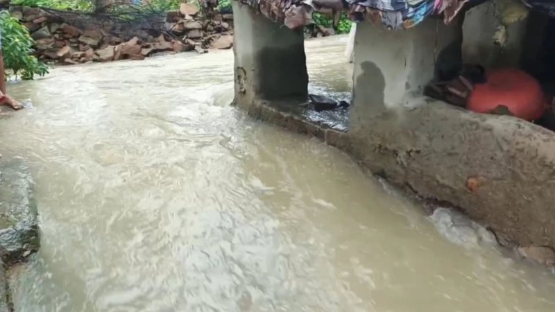 पन्ना में लगातार बारिश से बिगड़े हालात, कई इलाकों में बाढ़ जैसा संकट