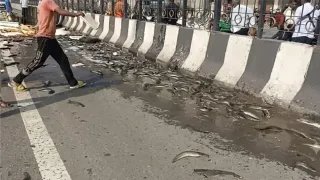 दिल्ली-मेरठ एक्सप्रेसवे पर ट्रक पलटा, सड़क पर बिखरीं हजारों मछलियां; लूटने की मची होड़