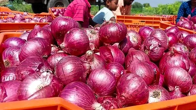 दिल्लीवासियों को राहत, सरकारी दुकानों और वैन से 35 रुपये किलो मिलेगा प्याज
