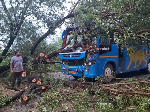 मुजफ्फरनगर में चलती बस पर गिरा विशाल पेड़, चालक की सूझबूझ से बची यात्रियों की जान
