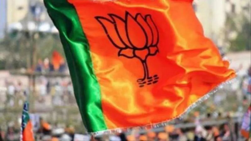 भाजपा महिला मोर्चा में 26 जिलों के नए जिलाध्यक्ष घोषित, सरोज कुशवाहा ने जारी की सूची