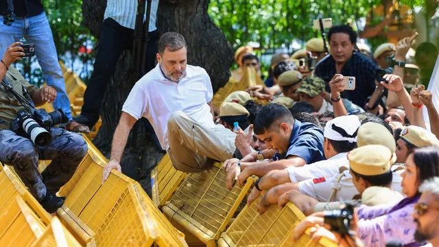 तमिलनाडु में SIR पर क्या रुख है? दिल्ली प्रदर्शन के बीच DMK ने राहुल गांधी से पूछा सवाल