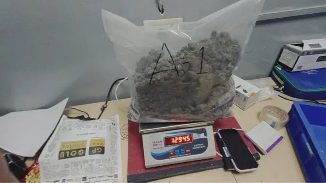 दिल्ली एयरपोर्ट पर 7.9 किलो गांजा और हाइड्रोपोनिक वीड बरामद, बैंकॉक से आईं 2 महिलाएं गिरफ्तार