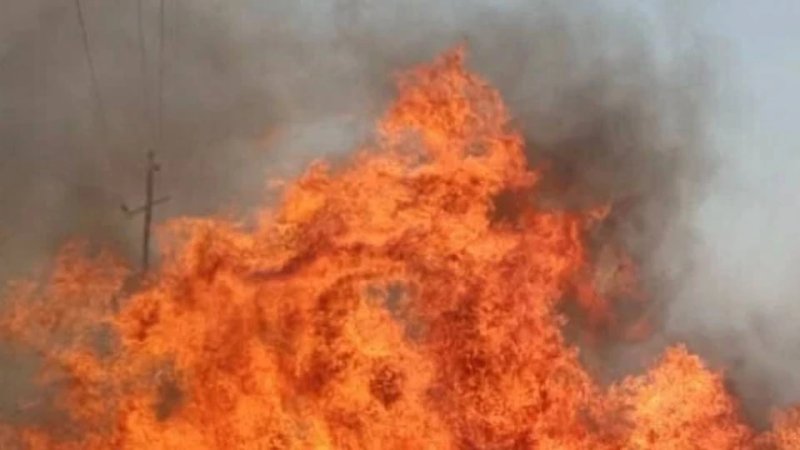 भोरगढ़ इंडस्ट्रियल एरिया में दो प्लास्टिक दाना फैक्ट्रियों में लगी आग, मचा हड़कंप