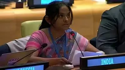 UN में भारत की मांग, मानवता के खिलाफ अपराधों की संधि में आतंकवाद भी हो शामिल