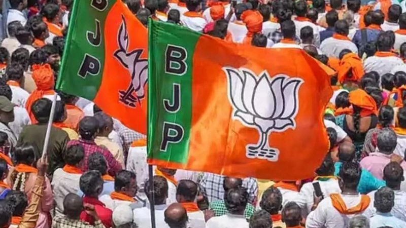 भाजपा ने नई प्रदेश टीम का किया ऐलान, अनस साजिद उस्मानी को अल्पसंख्यक मोर्चे की मिली कमान