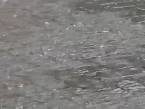 मुजफ्फरनगर में दिन में छाया रात जैसा अंधेरा, तेज हवाओं के साथ मूसलाधार बारिश
