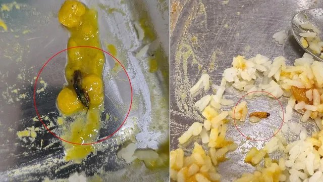 खराब खाने को लेकर लखनऊ यूनिवर्सिटी में हंगामा, कुलपति कार्यालय पहुंचीं सैकड़ों छात्राएं