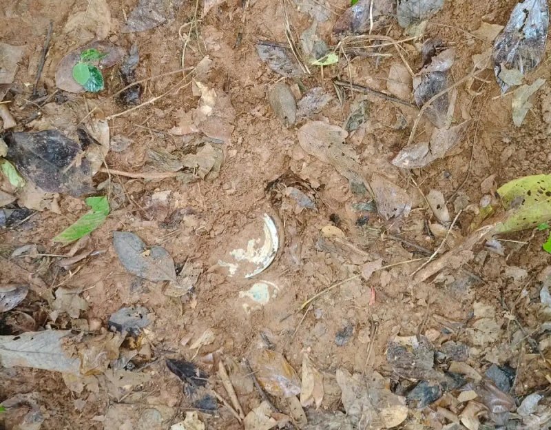 झारखंड: नक्सल विरोधी अभियान के दौरान सुरक्षा बलों को बड़ी कामयाबी, जंगल से मिले दो विस्फोटक