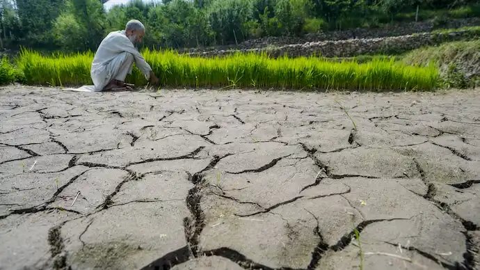 मराठवाड़ा में सूखे का संकट, 80 फीसदी फसलें सूखने से किसानों की बढ़ी मुश्किलें