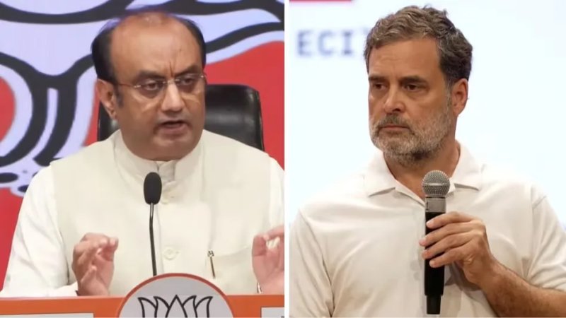 'राहुल का दावा सियासी चालबाजी': भाजपा ने राष्ट्रपति से बातचीत को गलत तरीके से पेश करने का लगाया आरोप