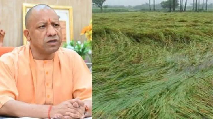यूपी के किसानों को 483 करोड़ रुपये का अनुदान देंगे सीएम योगी, सोमवार से सस्ता होगा कृषि ऋण