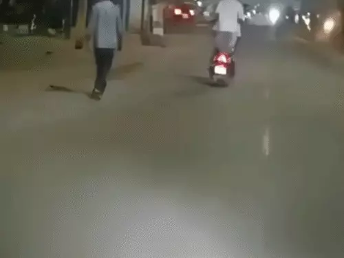 मुजफ्फरनगर में चलती स्कूटी पर खतरनाक स्टंट, दो युवकों का वीडियो वायरल