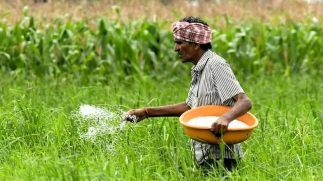 रबी सीजन से पहले यूरिया को लेकर राहत, अगस्त के मुकाबले 10% तक सस्ती कीमत