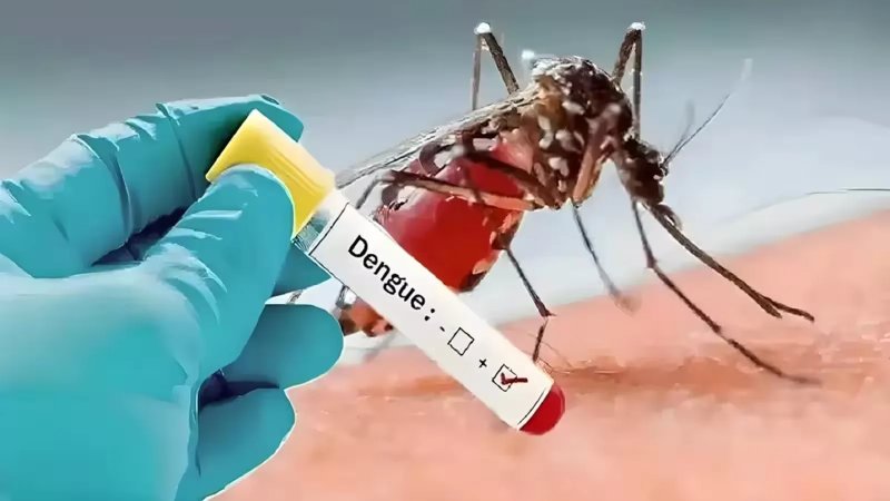 लखनऊ में डेंगू का बढ़ता प्रकोप, 500 से अधिक मरीज मिले; जोन आठ सबसे ज्यादा प्रभावित