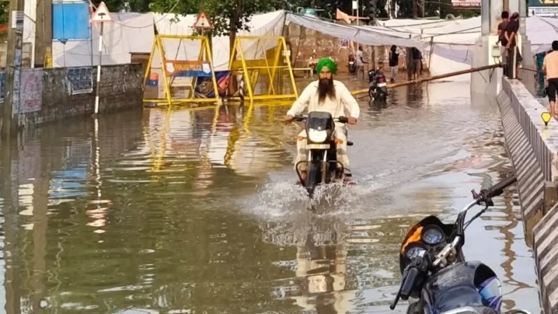 पंजाब में बारिश से बिगड़े हालात, मानसा में घरों में घुसा पानी; किसानों की बढ़ी चिंता