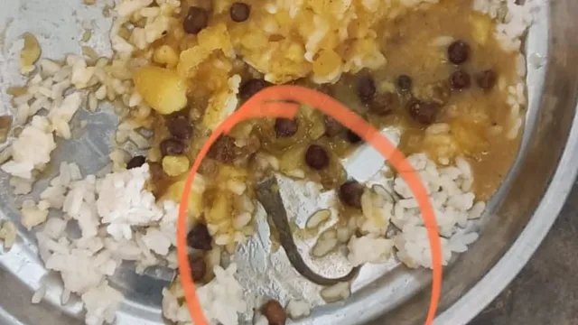 बिहार: मिड-डे मील में मरी छिपकली मिलने से हड़कंप, 12 बच्चों की तबीयत बिगड़ी