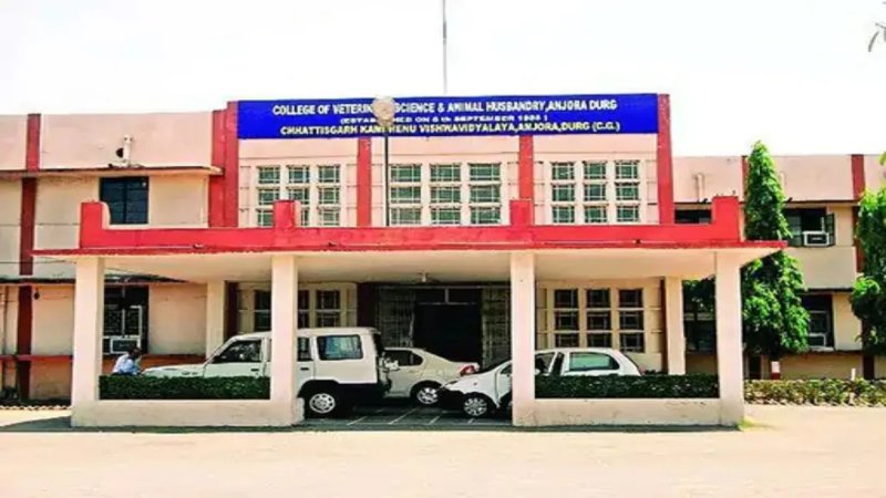 दुर्ग: कामधेनु विश्वविद्यालय में 50 लोगों की बैकडोर नियुक्ति का मामला हाईकोर्ट पहुंचा