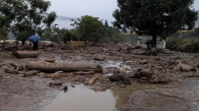 भूटान में फ्लैश फ्लड के बाद संकोश नदी का पानी हुआ काला, बड़ी संख्या में मिलीं मरी हुई मछलियां